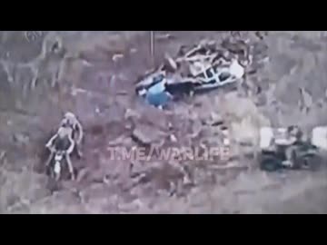 ホモと見る交通事故