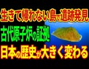 生きて帰れない島で遺跡発見！古代原子炉の証拠！日本の歴史が大きく変わる！【海外の反応】