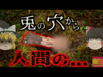 【2015年】『ウサギの穴で絶命』散歩で偶然発見した「穴から出る足」…何故そんなところで？酸素欠乏の危険【ゆっくり解説】