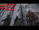 【エルデンリング ナイトレイン】罪人は夜を渡る #12【実況】