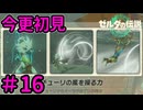 リトの村のチューリ【ゼルダの伝説 ティアーズ オブ ザ キングダム】Part16