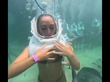 ホモと見るシーウォーク中にバランスを崩した観光客