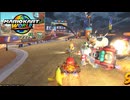 ゲート前の混雑がすごいマリカワサバイバルネッ対【マリオカートワールド#10】