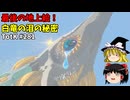 【ゆっくり実況】初めてのティアーズオブザキングダム！ part281【ティアーズオブザキングダム】