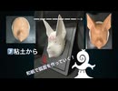 張子面制作過程「狐美人」