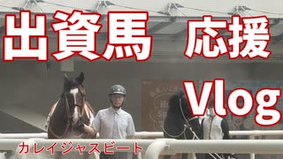 出資馬の口取りに参加したくて応援しに行ってきた動画