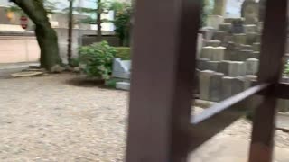 【善光寺】OMOTESANDO walk表参道 善光寺を歩く2022_10_19