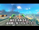 ピーチのガラスに潜入するために【マリオカートワールド】