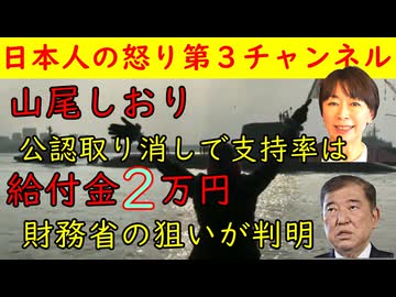 【山尾しおり】国民民主党が公認取り消しで支持率はいったん回復か【給付金２万円】財務省の狙いが透けて見える「●●ってことだろ？」