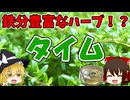 【ゆっくり解説】タイムの栄養について解説します