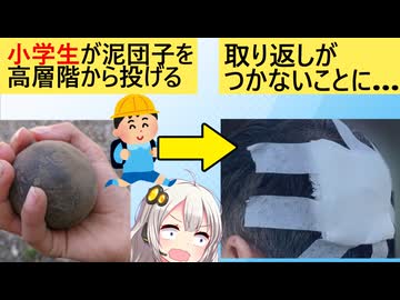 小学生、マンション高層階から泥団子を投げた結果、とんでもないことになってしまう…