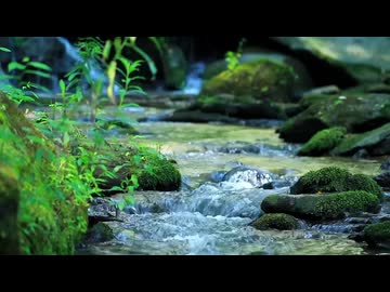 River Flow