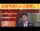 移民問題|子供への過剰な性教育|選挙に行こう|参政党|矢野けいた #参政党 #政治 #移民政策