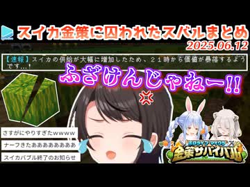 【#ホロ金策サバイバル】スイカバブルに踊らされる哀しき獣・大空スバルまとめ