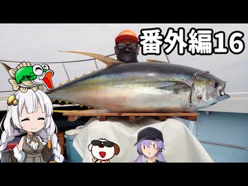 あかりちゃんと行くカヤックフィッシング番外編16