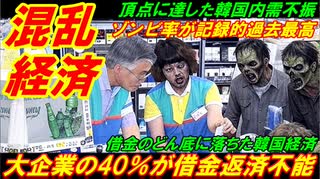 【韓国混乱経済】大企業の４０％が借金返済不能、借金ゾンビ率が記録的過去最高に到達！
