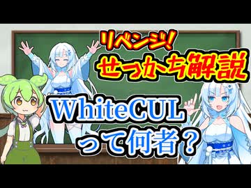 【せっかち解説】WhiteCULって一体何者！？せっかち雪さんに聞いてみよう！
