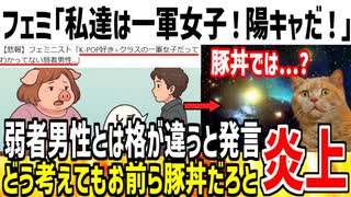 【イキリ】フェミ「私達は一軍女子！弱者男性とは違う！」→豚丼じゃねえかとネット民に批判されてしまう...