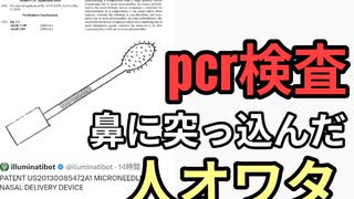 pcr検査 鼻に突っ込んだ人オワタ