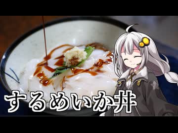 釣れなくても料理！スルメイカ丼！【VOICEROIDキッチン】