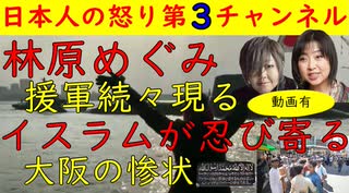 【林原めぐみ】援軍が続々と集まる「エバンゲリオン緒方恵美」と「アニメファン」【イスラムの影】大阪の惨状「数が増えたときが危険」