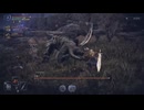 無頼漢、またの名を沼遺憾【エルデンリングナイトレイン】その2