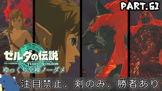 『11種の縛りプレイ＃61』ノーダメージで全ての因縁に決着（ケリ）をつける全裸リンク【ゼルダの伝説ティアーズオブザキングダム/ゆっくり実況】