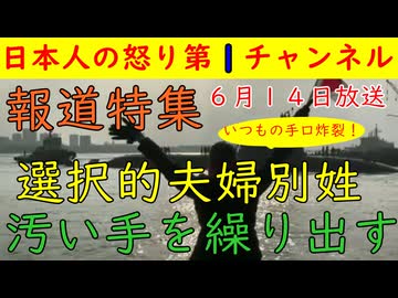 【報道特集】６月１４日放送分がひどい！「選択的夫婦別姓」ありとあらゆる汚い手を使い放送「都合の悪い内容はスルー」
