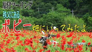 【ななまる日記】原付ツーリング　秩父のポピー畑に行ってきた。