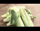 メロン以上の甘さ！？「スイートコーン祭り」　開始前から１００人を超える行列　福岡県築上町