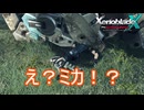 ミカ？うせやろ？　ゼノブレイドクロスDE実況プレイPart58