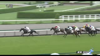ペプチドクレマチス　阪神・3歳以上1勝クラス　2025年6月14日