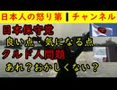 【日本保守党】良い点・気になる点【クルド人問題】あれ？おかしくない？ #日本保守党 #クルド人