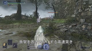 【エルデンリングナイトレイン 復讐者】大技2回発動バグ