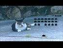 猫と Space Invaders