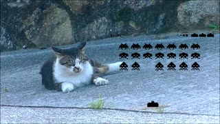 猫と Space Invaders