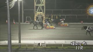 第33回北斗賞 コマサンエース