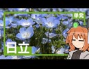 ネモフィラと日立駅。