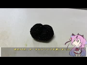 珍食材が食べたい！#219 オータムトリュフ