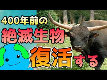 400年前の絶滅生物が復活する！！【オーロックス】