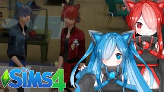 ボイボ寮再建！ ～猫使アル＆猫使ビィ編～