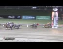 第5回川崎スパーキングスプリント（習志野きらっとスプリントＴＲ） エンテレケイア
