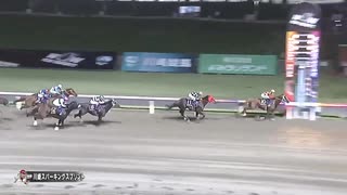 第5回川崎スパーキングスプリント（習志野きらっとスプリントＴＲ） エンテレケイア