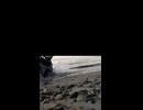 VID202506171914