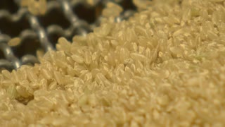 精米工場はフル稼働と思いきや「想定ほど入ってこない」備蓄米の流通どうなってる？福岡の現状は　飲食店も「入る予定なし」