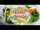 田中鉄也　オンド.com　Animation of organic produce text in green, over bowl of fresh salad