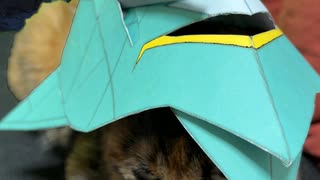 ニュータイプ、それは…