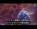 mRNAワクチンのスパイクタンパク質は、ウイルスのスパイクタンパク質より危険