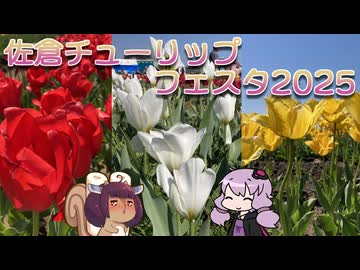 しばらくお休み　佐倉チューリップフェスタに行ってきた【VOICEROID旅行】
