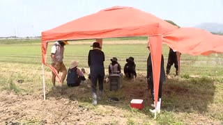 福岡初の熱中症警戒アラート　畑には日除けと冷蔵庫　空港にはエアコン完備の休憩室　クラゲの大量発生も！？